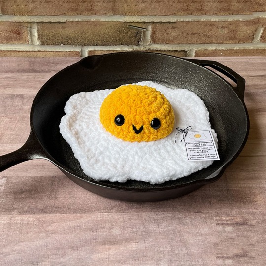 🌮Emotional Support Taco