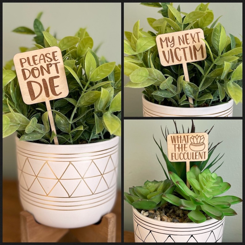 🌵Funny Plant Markers