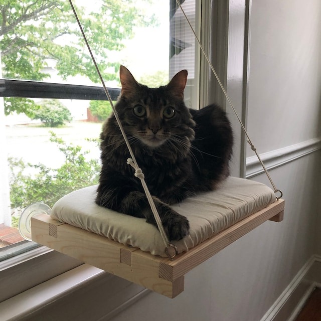 🐱Cat Window Perch