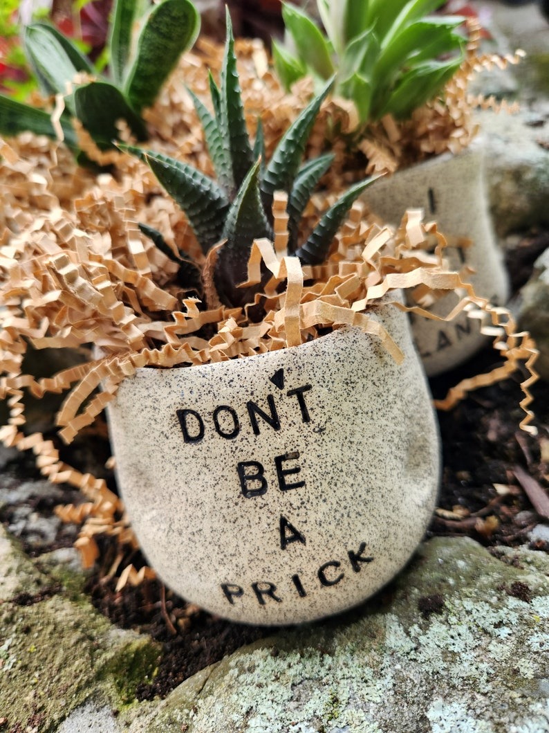 🤪Funny Succulent Pot