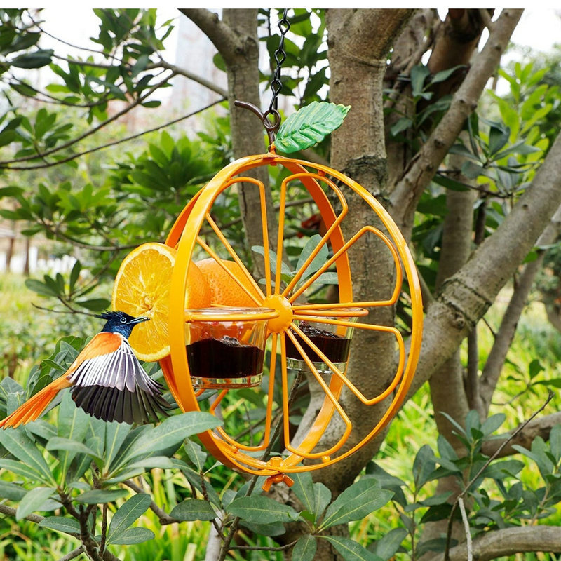 🦜2-in-1 Hanging Hummingbird Oriole Feeder