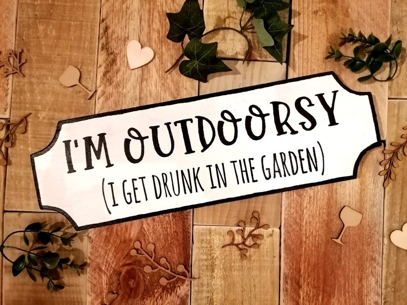 🤣Funny Wooden Sign - No Stupid People