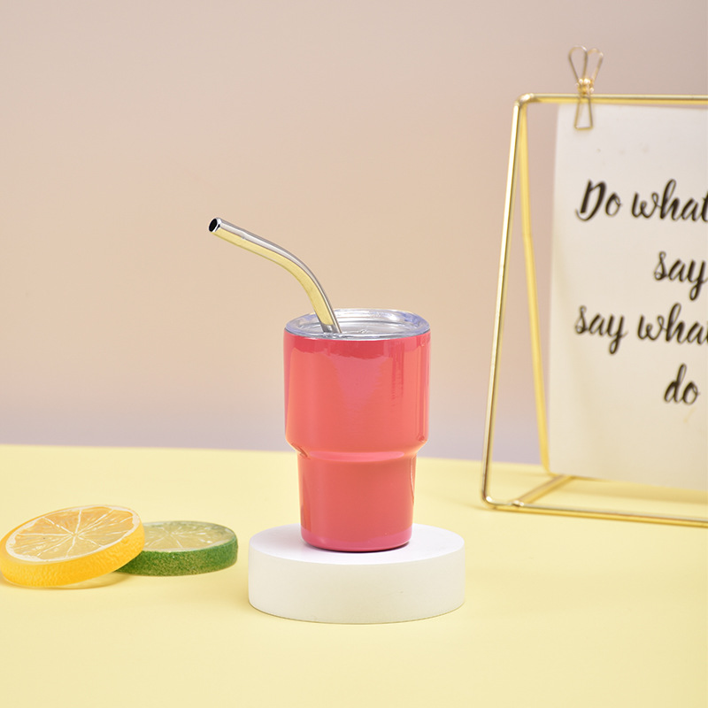 Mini Stainless Steel Tumbler with Straw