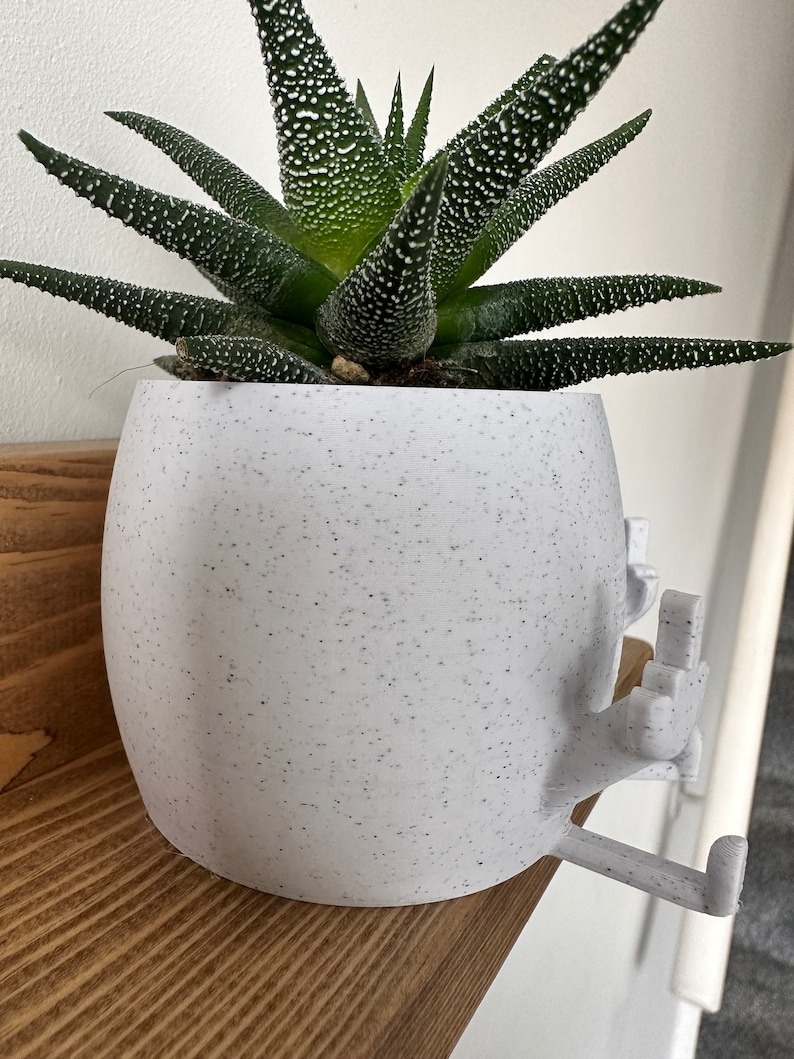 🤣Smiling Plant Pot with Middle Fingers Up