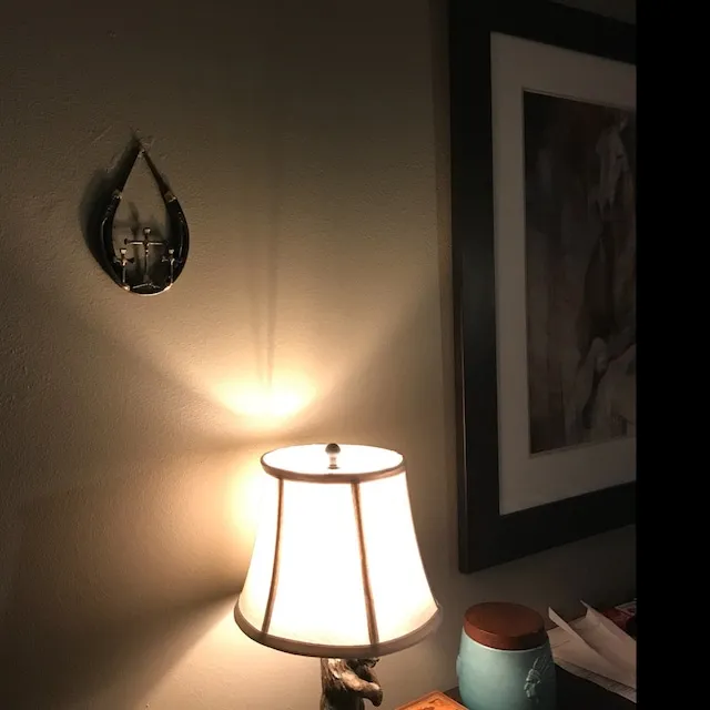 ✝️Horseshoe Nail Cross Wall Decoration