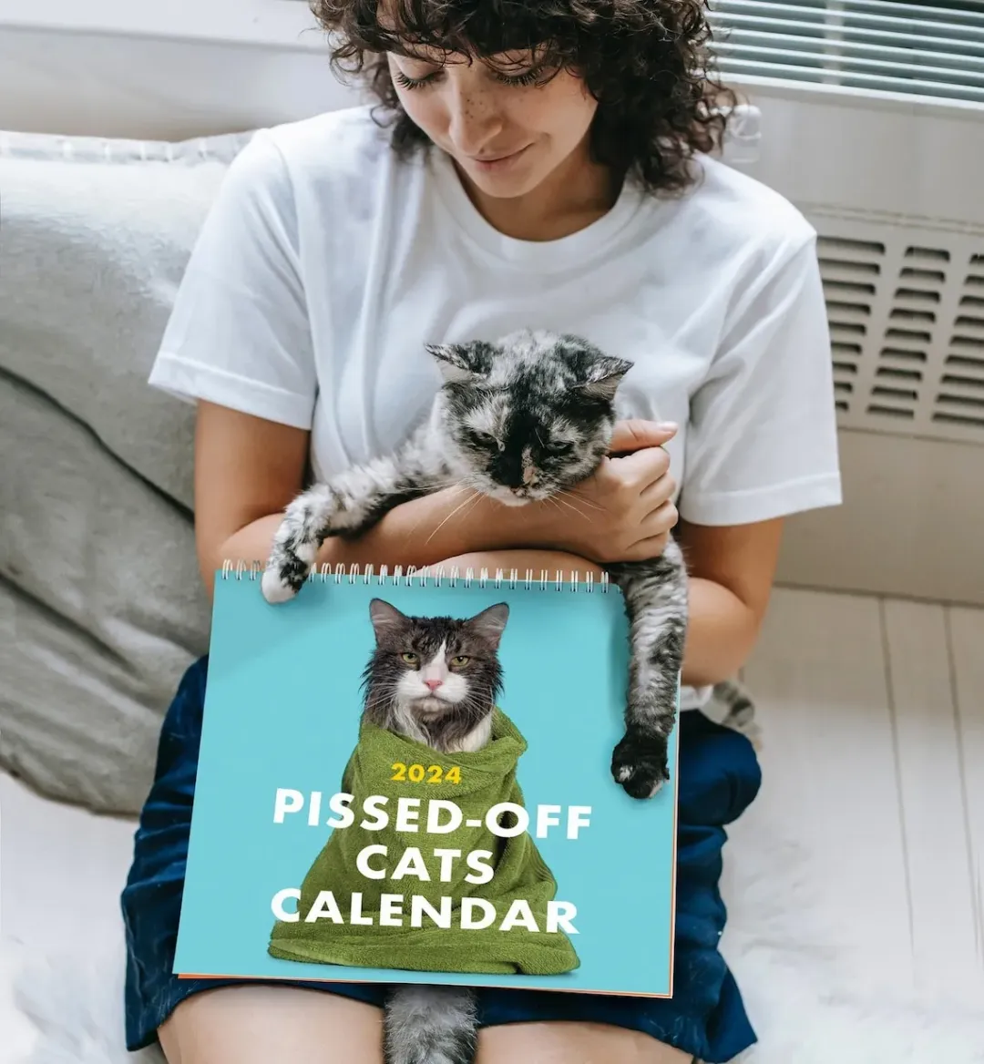 😾2024 PISSED-OFF CATS CALENDAR