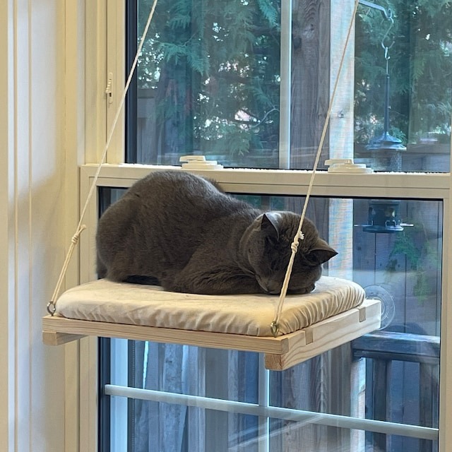 🐱Cat Window Perch
