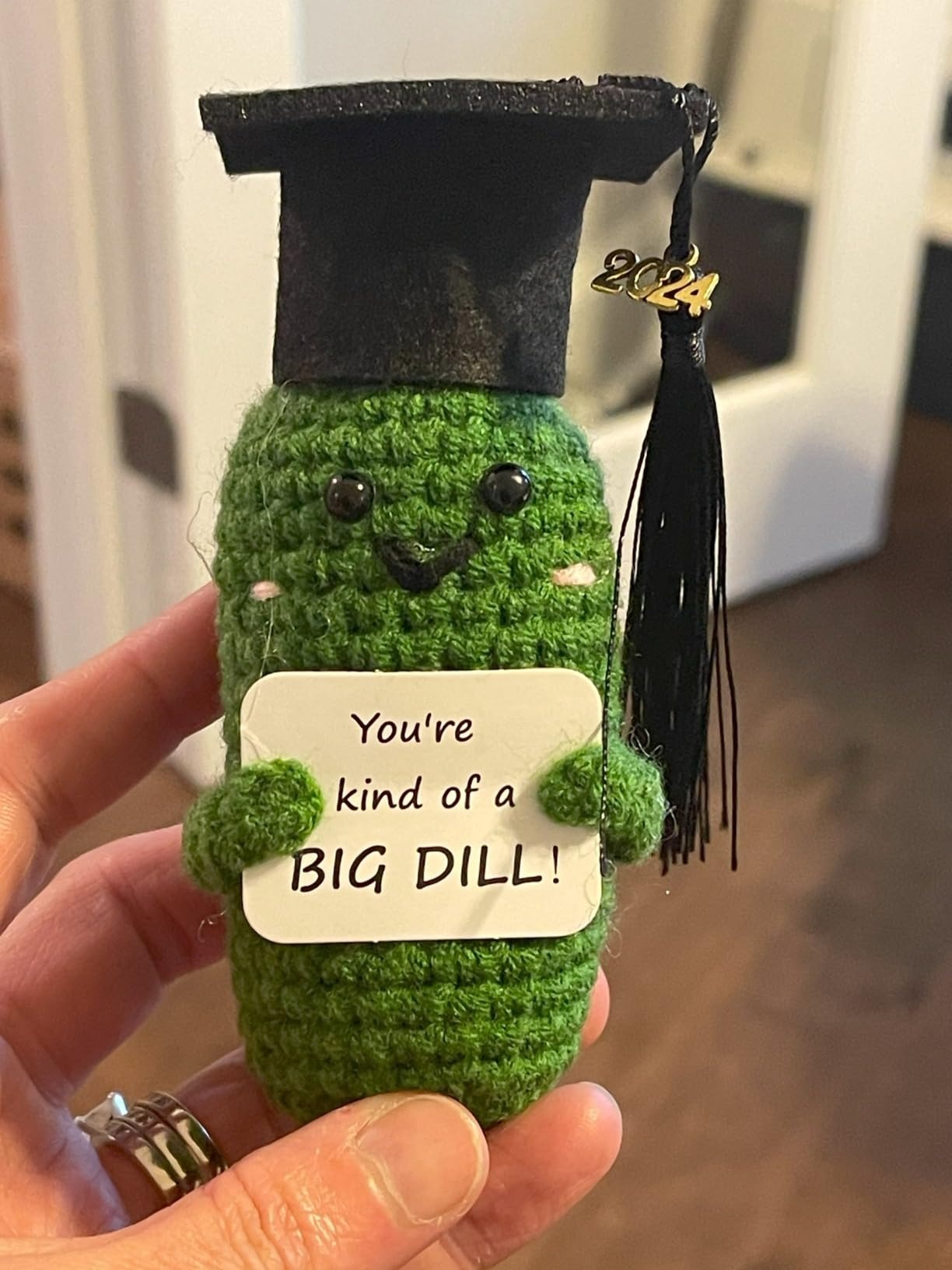 2024 Graduation Emotional Support Pickle