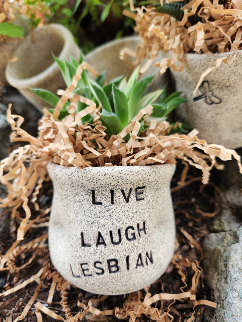 🤪Funny Succulent Pot