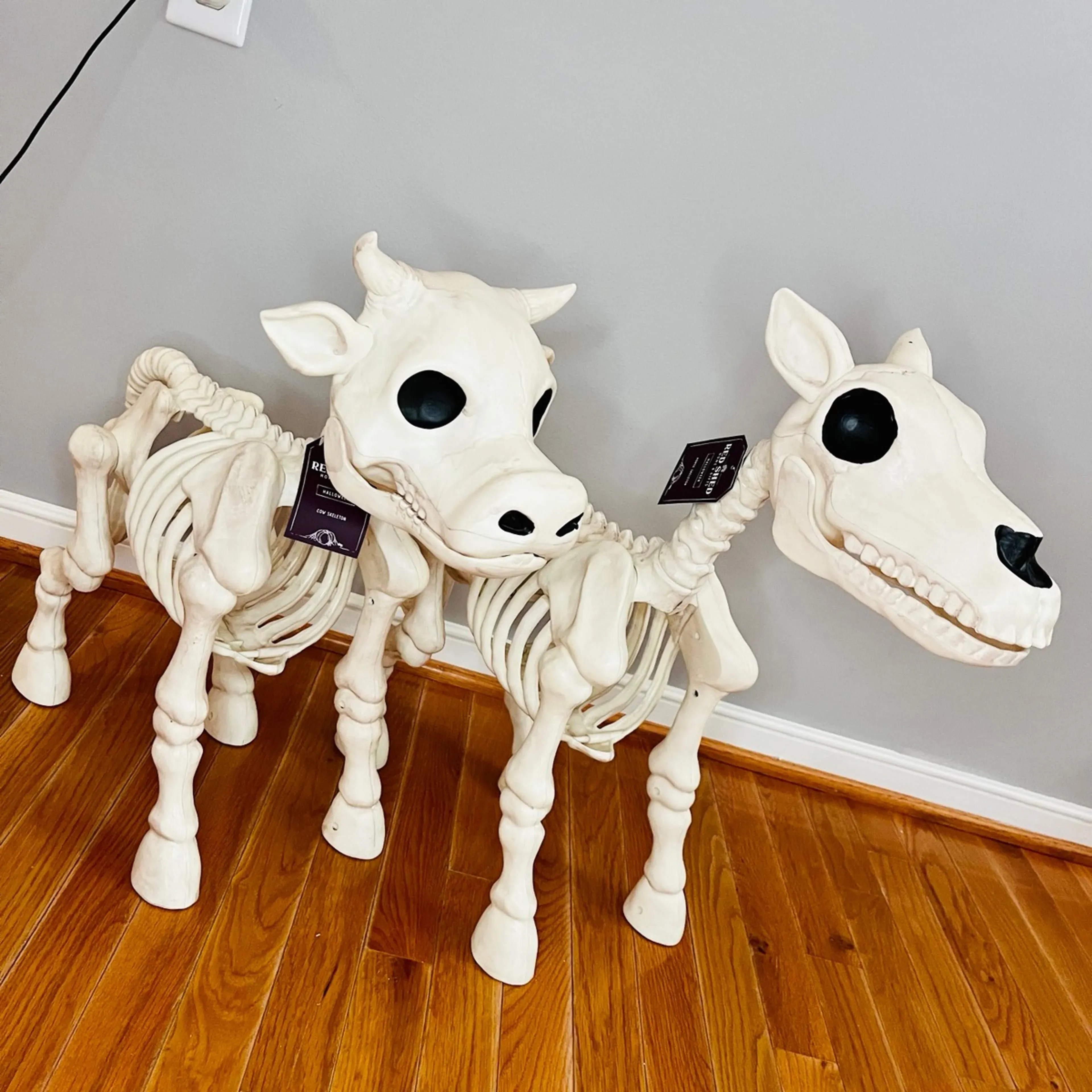 🐮Cow & Horse Skeleton Halloween Decorative Prop💀