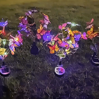 🦋Solar Outdoor Butterfly Lights💐