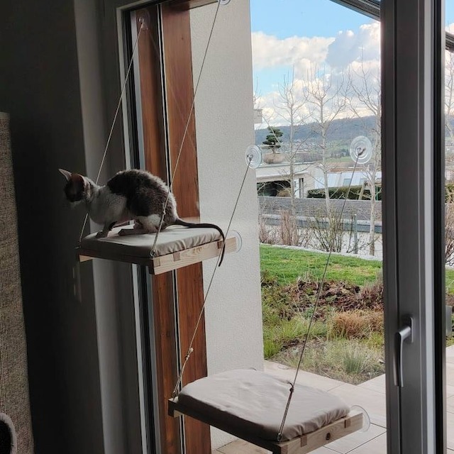 🐱Cat Window Perch