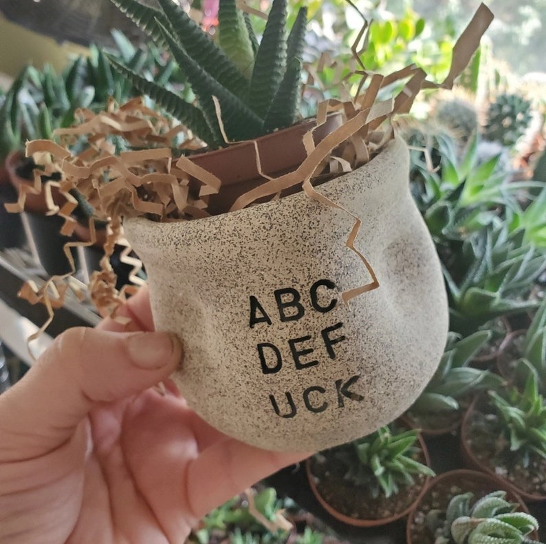 🤪Funny Succulent Pot