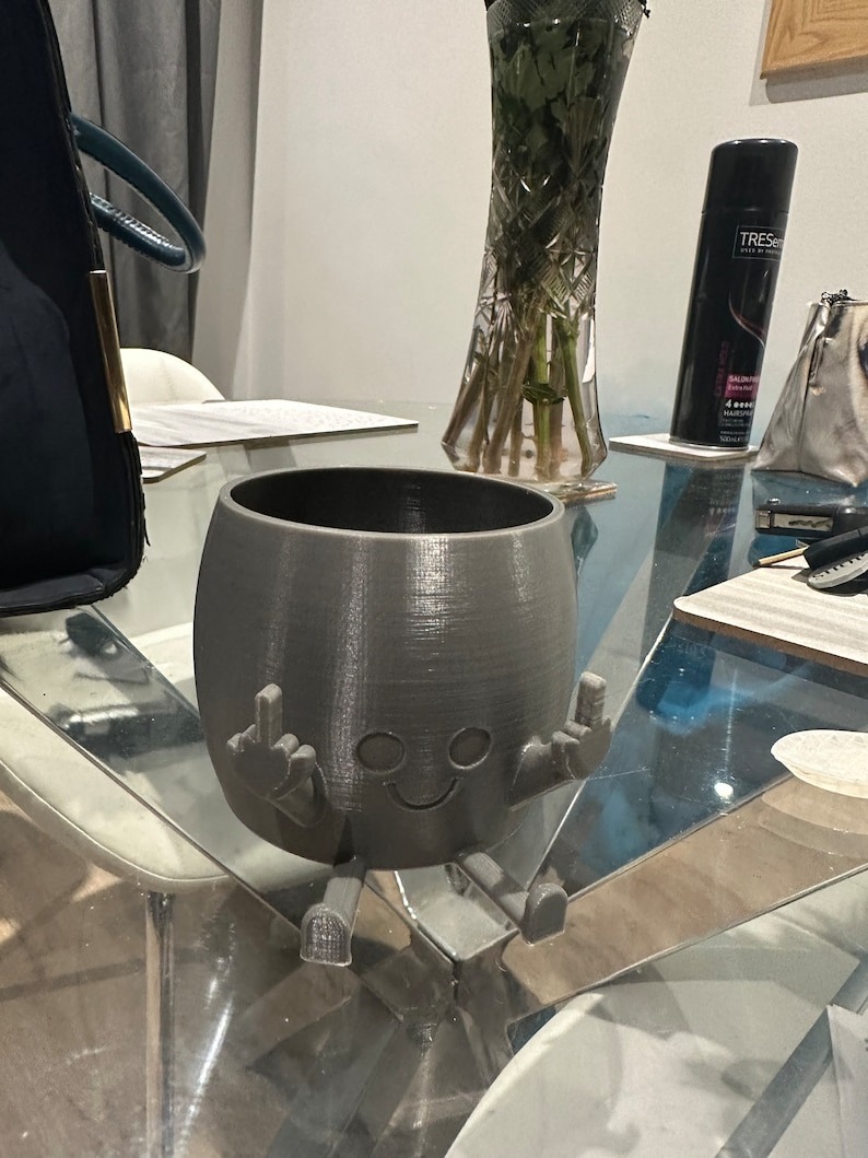 🤣Smiling Plant Pot with Middle Fingers Up