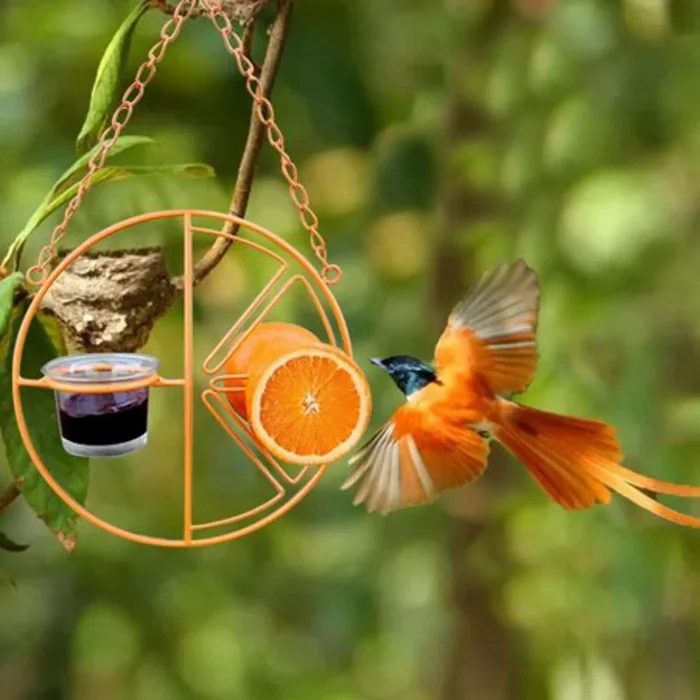 🦜2-in-1 Hanging Hummingbird Oriole Feeder