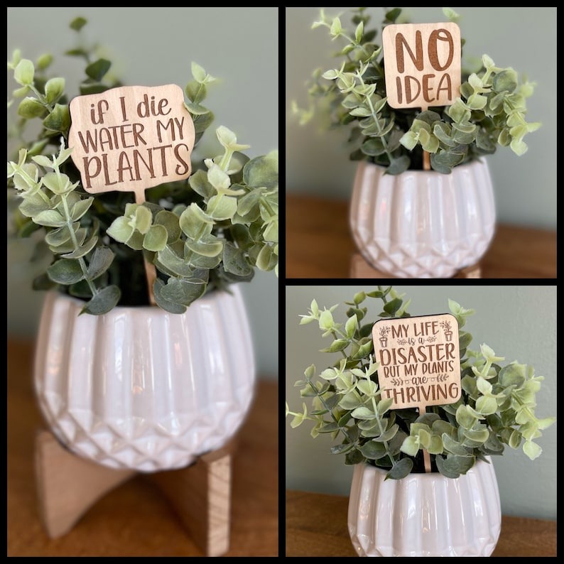 🌵Funny Plant Markers