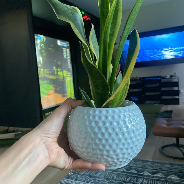 Sports Fan Flower Pot