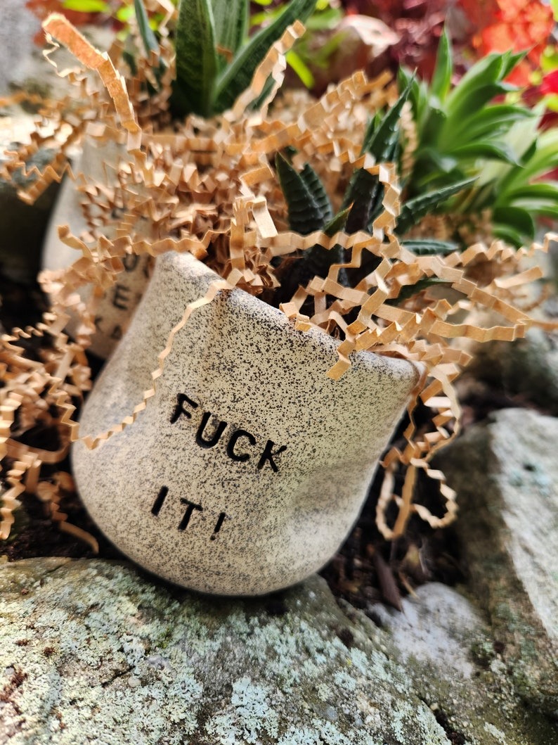 🤪Funny Succulent Pot