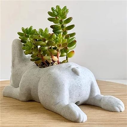🌵French Bulldog Succulent Flower Pot