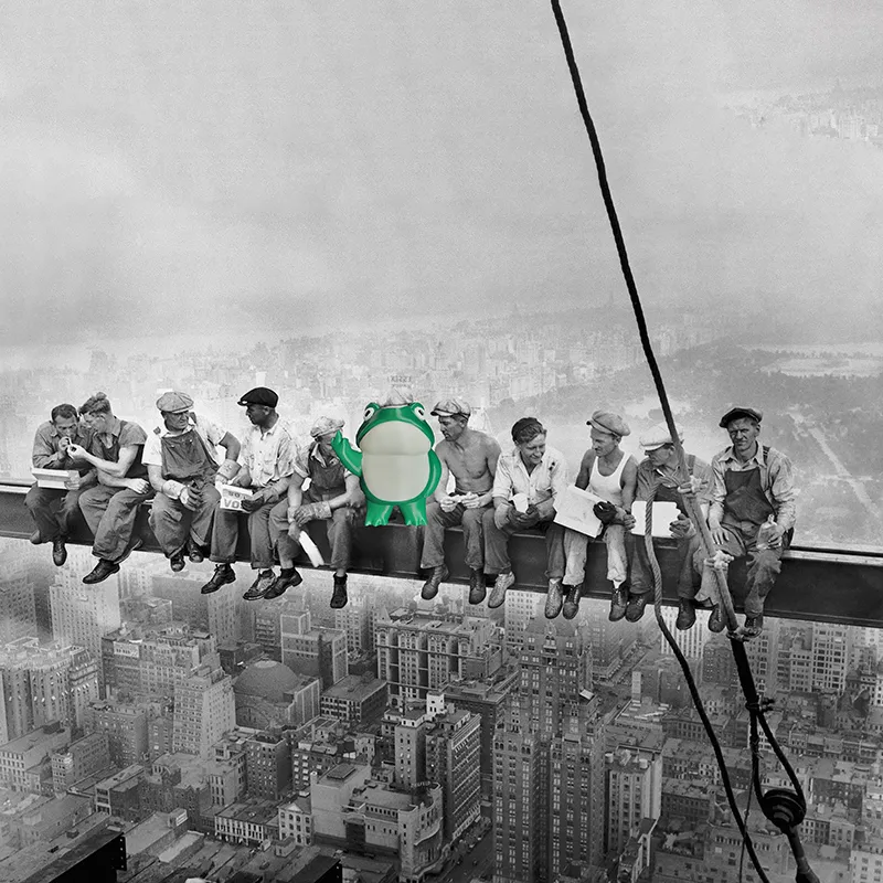 🐸Cheeky Middle Finger Frog😂