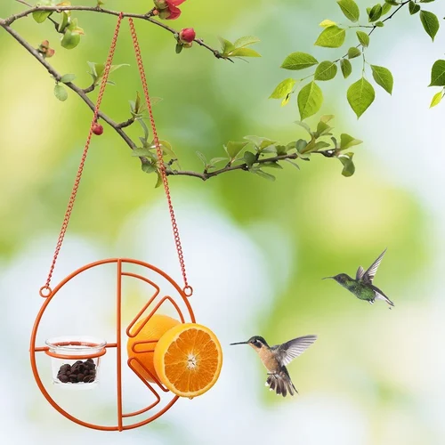 🦜2-in-1 Hanging Hummingbird Oriole Feeder