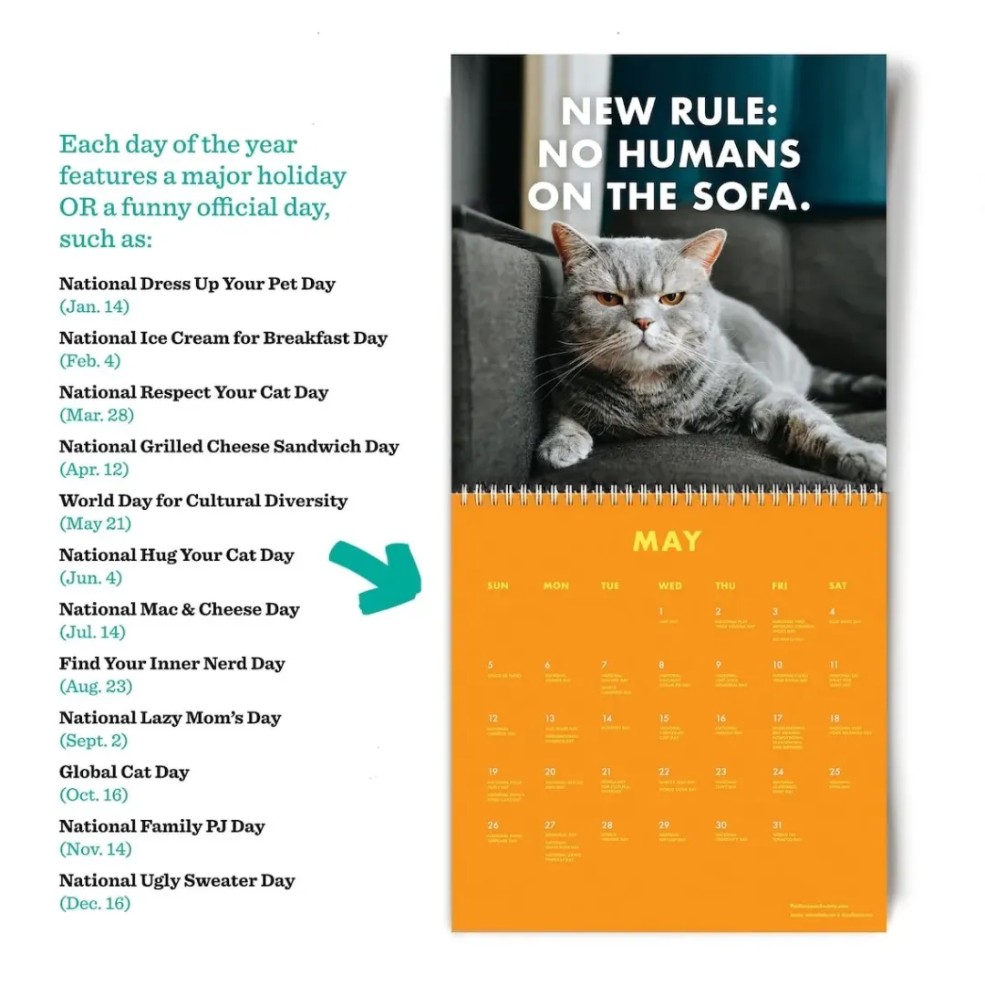 😾2024 PISSED-OFF CATS CALENDAR