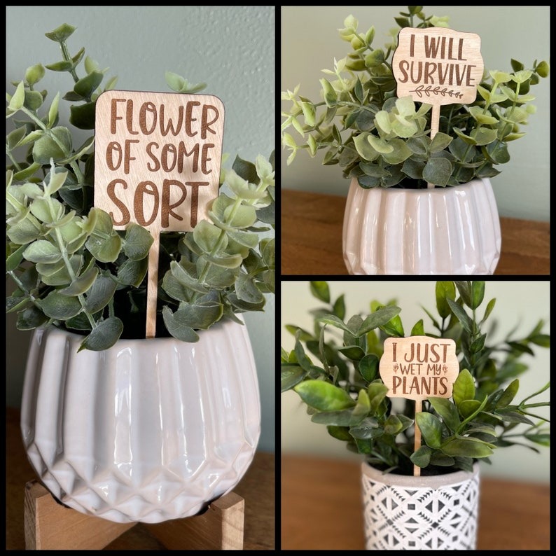 🌵Funny Plant Markers