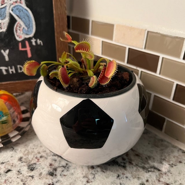 Sports Fan Flower Pot