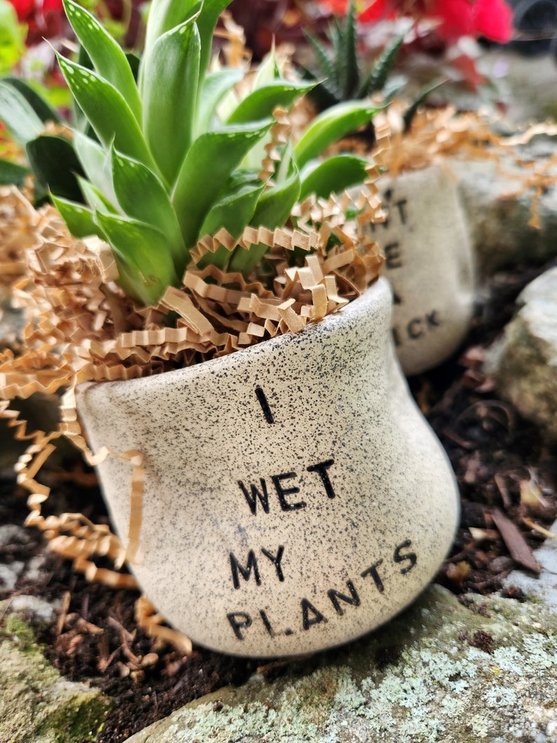 🤪Funny Succulent Pot