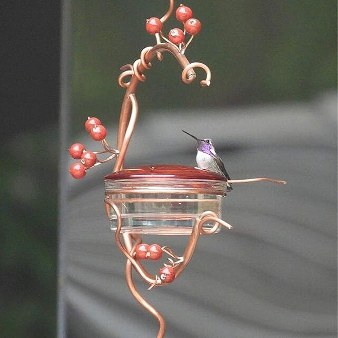  Hummingbird Feeder - Bring Rainbow Visitors to Your Garden
