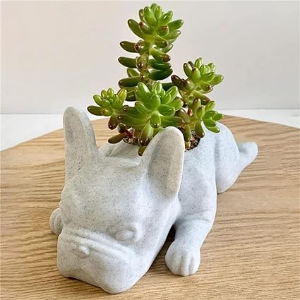 🌵French Bulldog Succulent Flower Pot