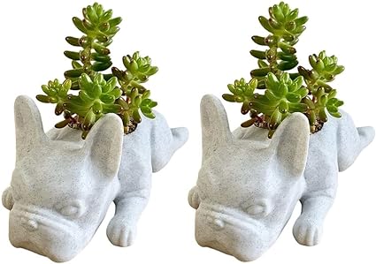 🌵French Bulldog Succulent Flower Pot