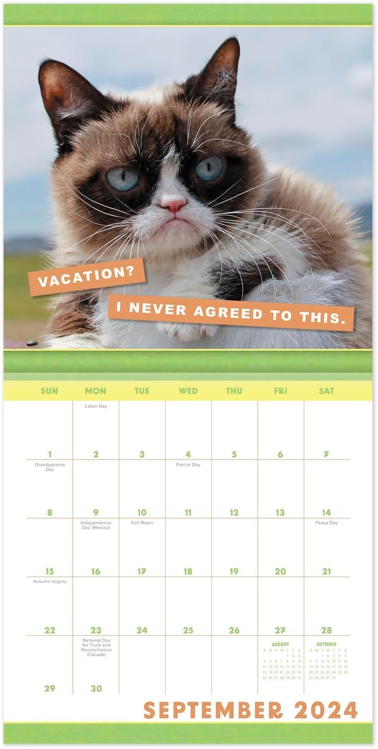 2024 Grumpy Cat Monthly Wall Calendar