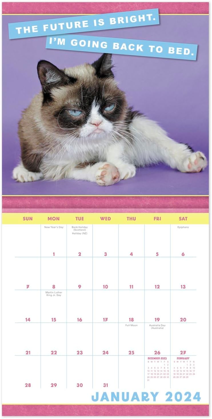 2024 Grumpy Cat Monthly Wall Calendar
