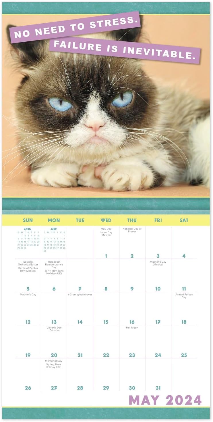 2024 Grumpy Cat Monthly Wall Calendar