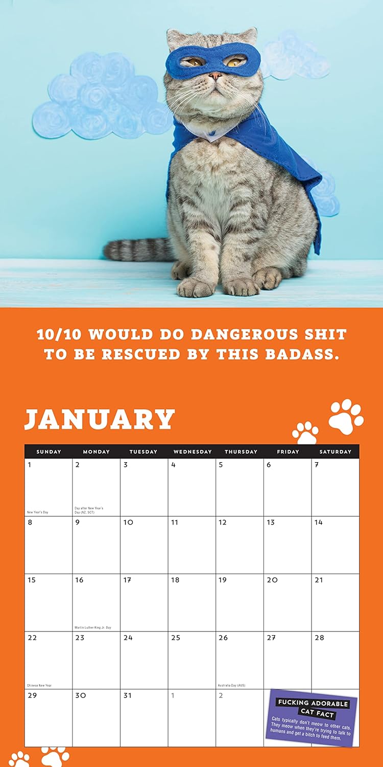 😺2024 Too Cute Cats Wall Calendar