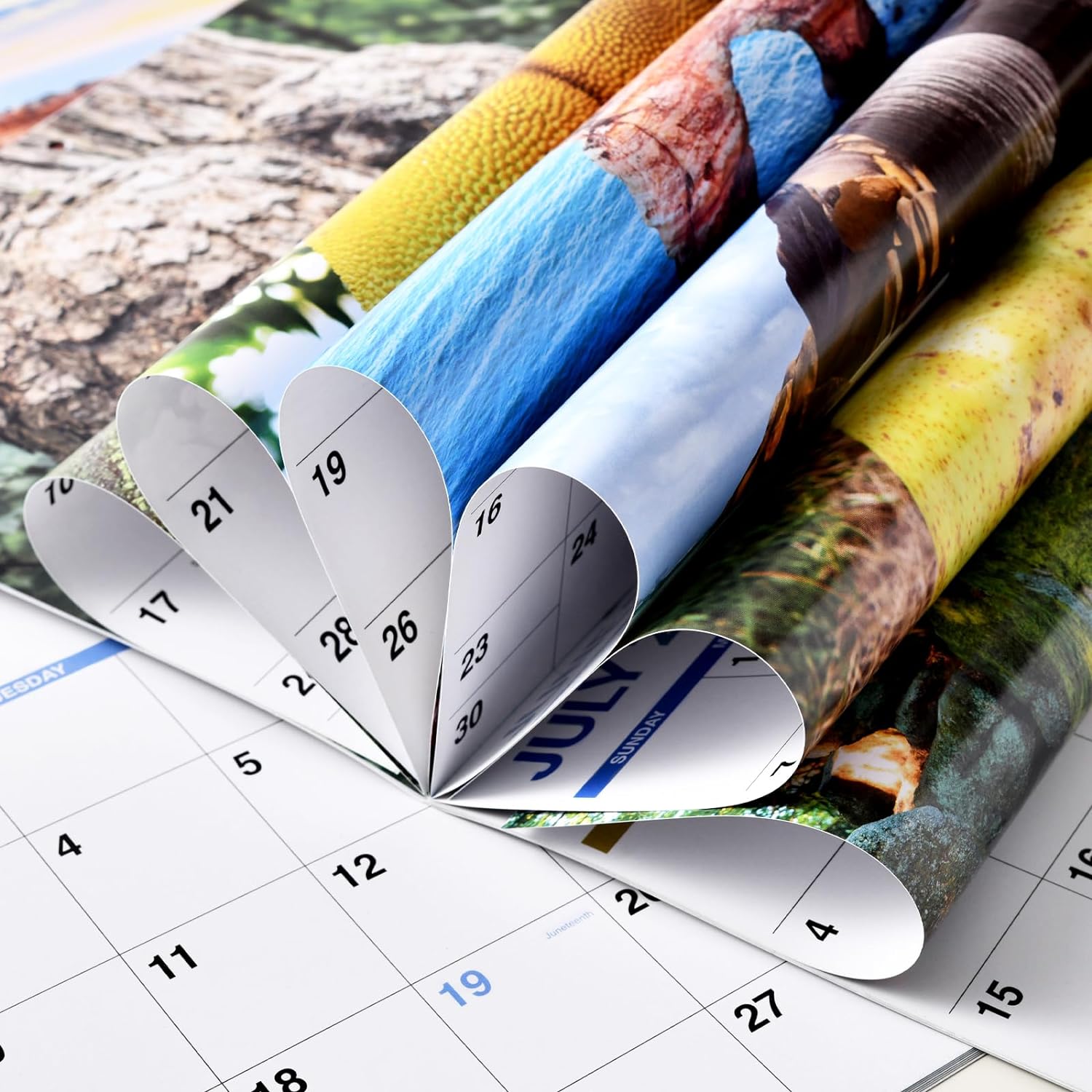 Natures's Butts - 2024 Calendar