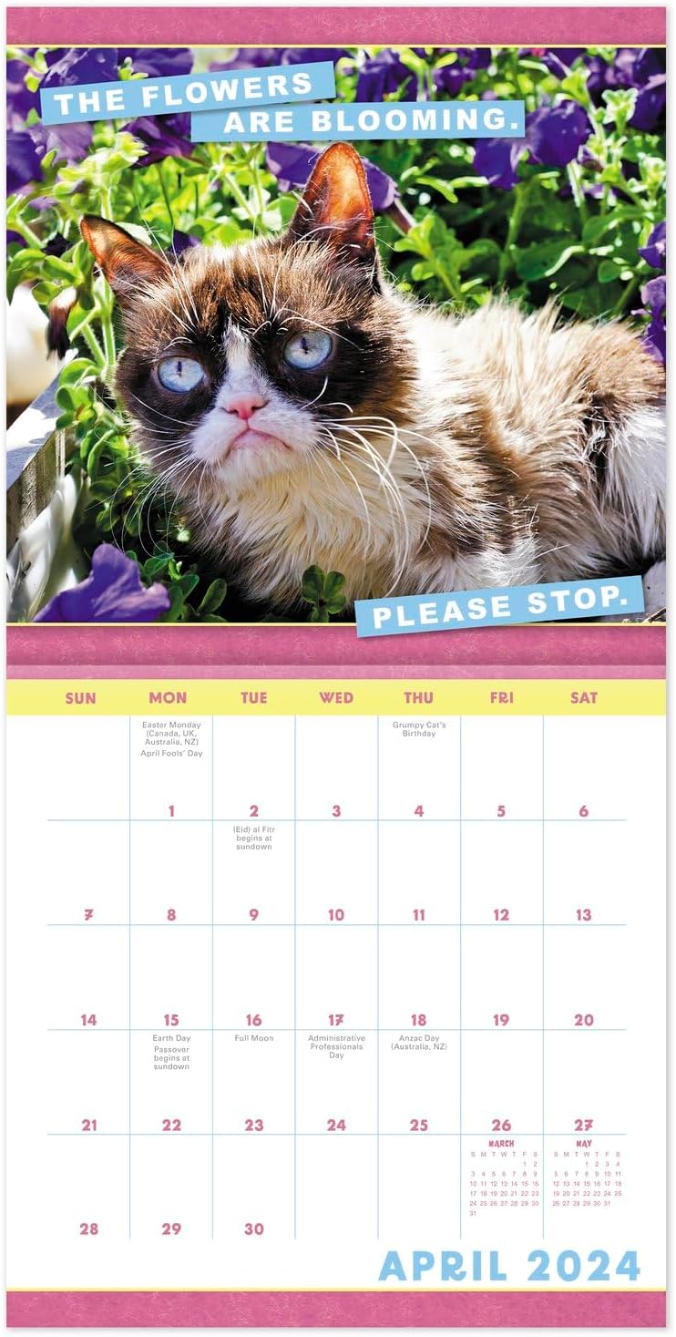 2024 Grumpy Cat Monthly Wall Calendar