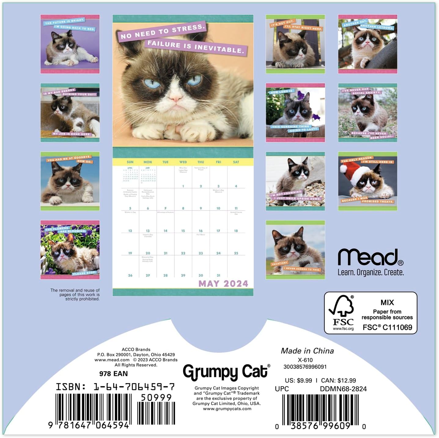 2024 Grumpy Cat Monthly Wall Calendar