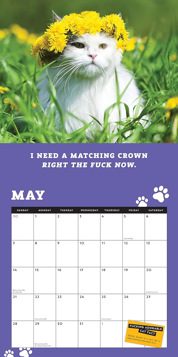 😺2024 Too Cute Cats Wall Calendar