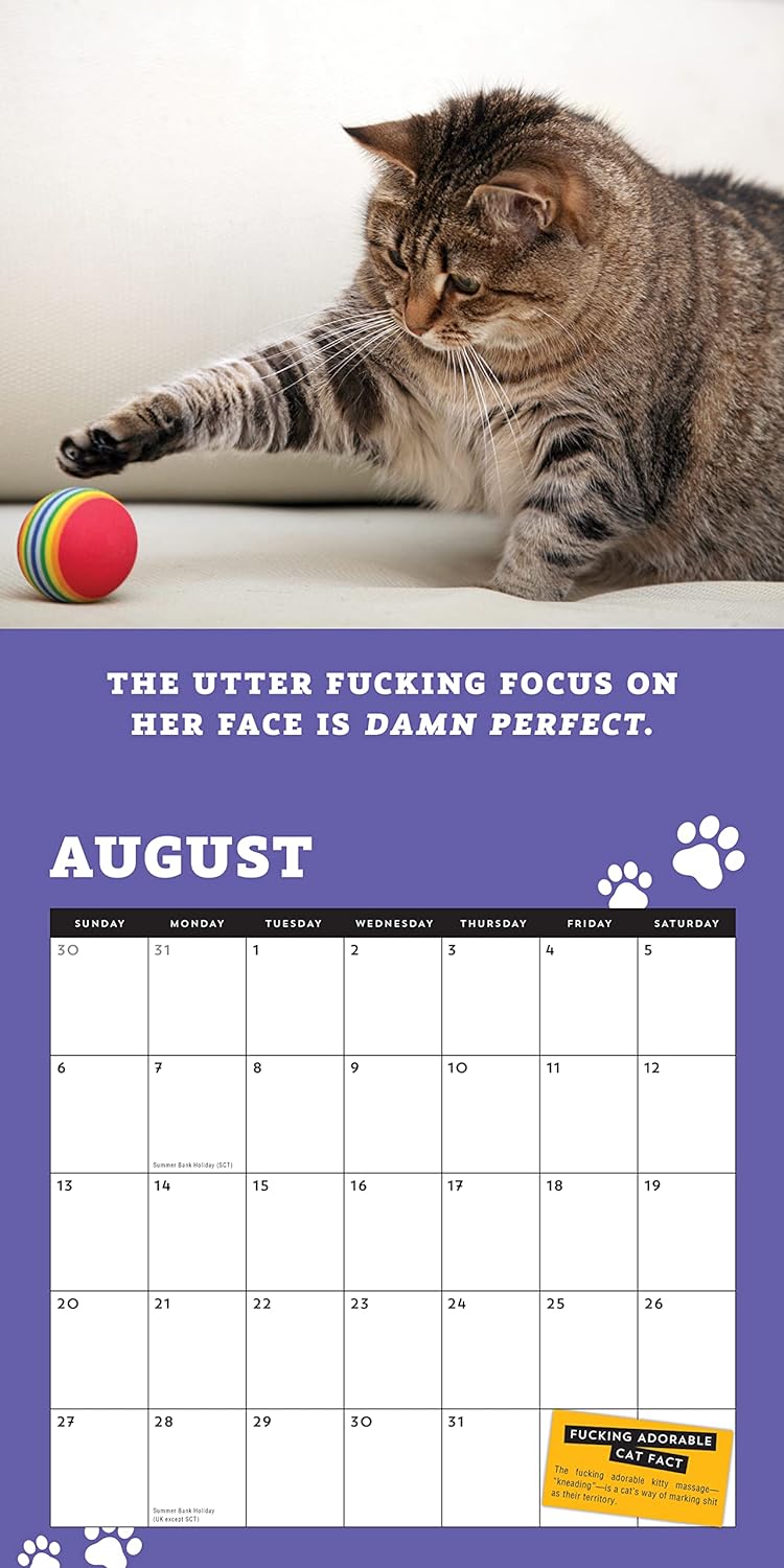 😺2024 Too Cute Cats Wall Calendar