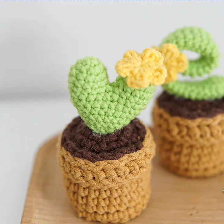 🌼Knitted Love Cactus Pot