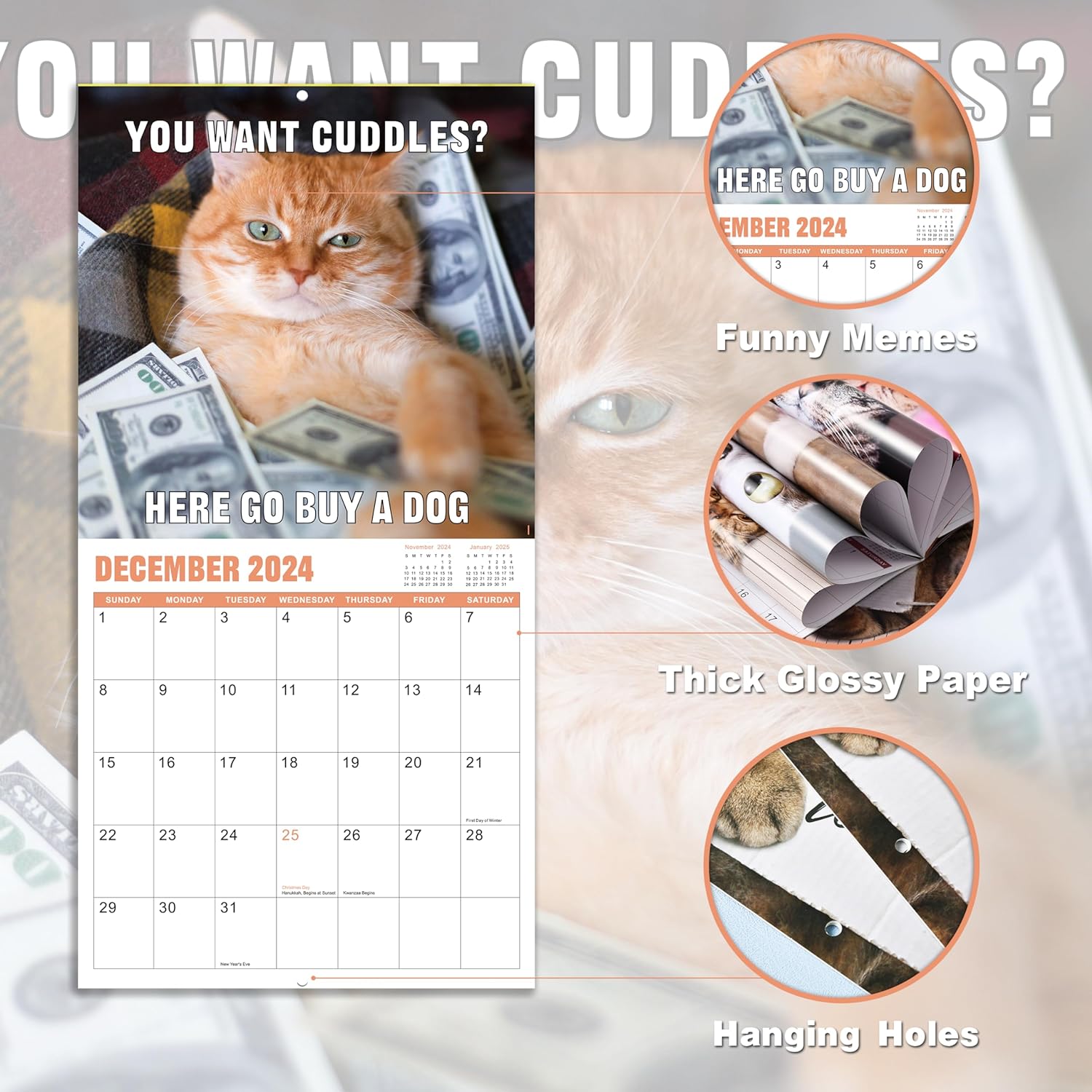🐱Funny Cat 2024 Calendar