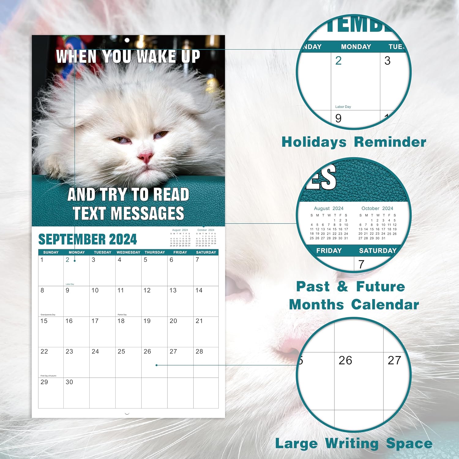🐱Funny Cat 2024 Calendar
