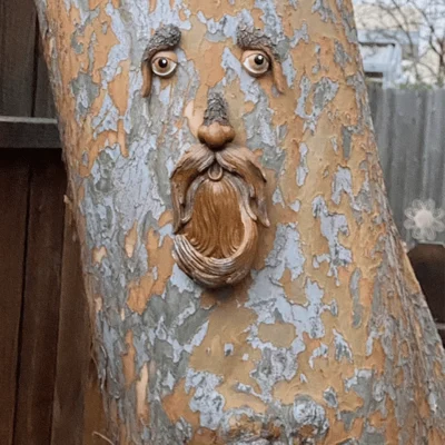 🌳Unique Bird Feeders for Outdoors - Old Man Tree Art 🔥