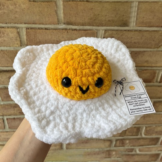 🌮Emotional Support Taco