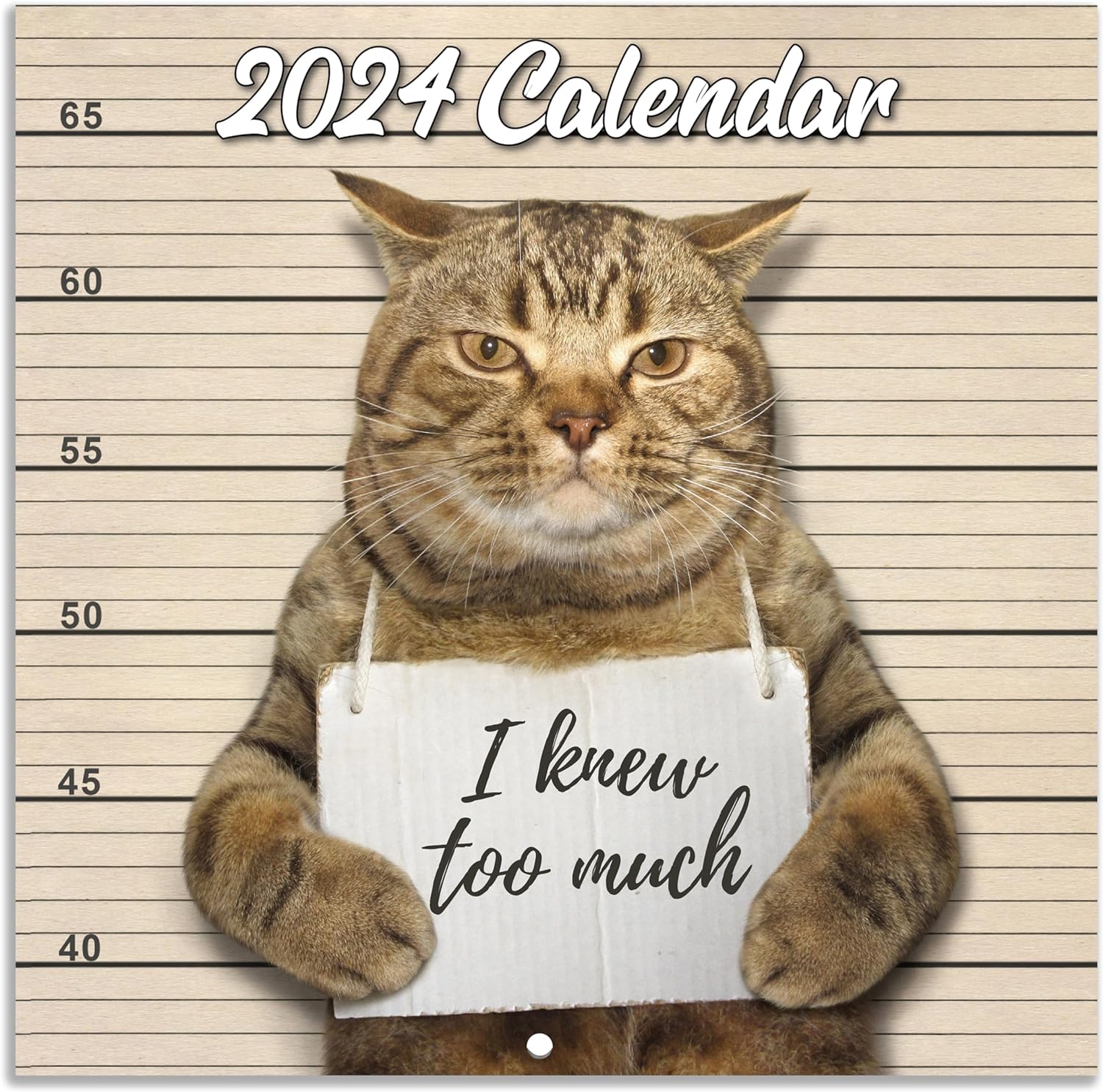🐱Funny Cat 2024 Calendar