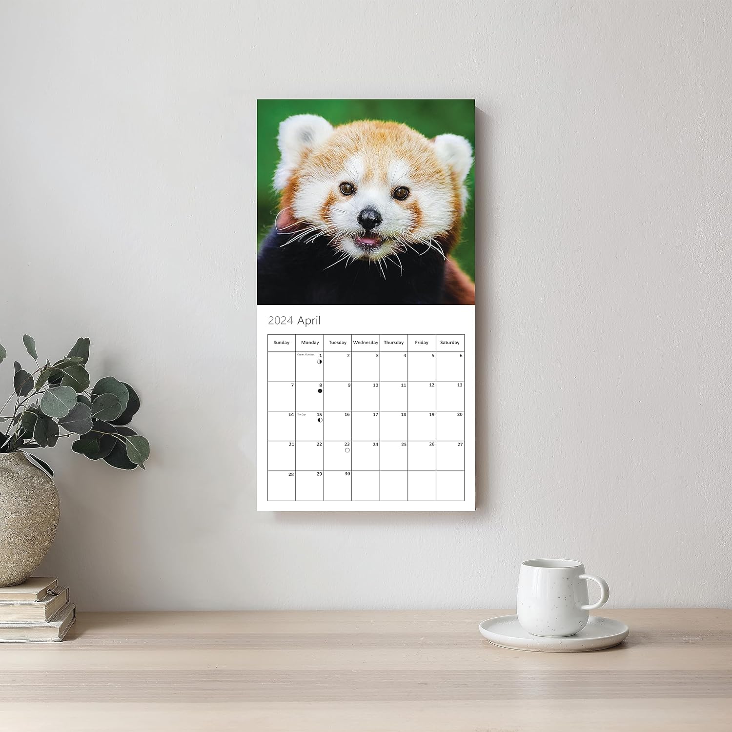 Wild Animal Wall Calendar 2024