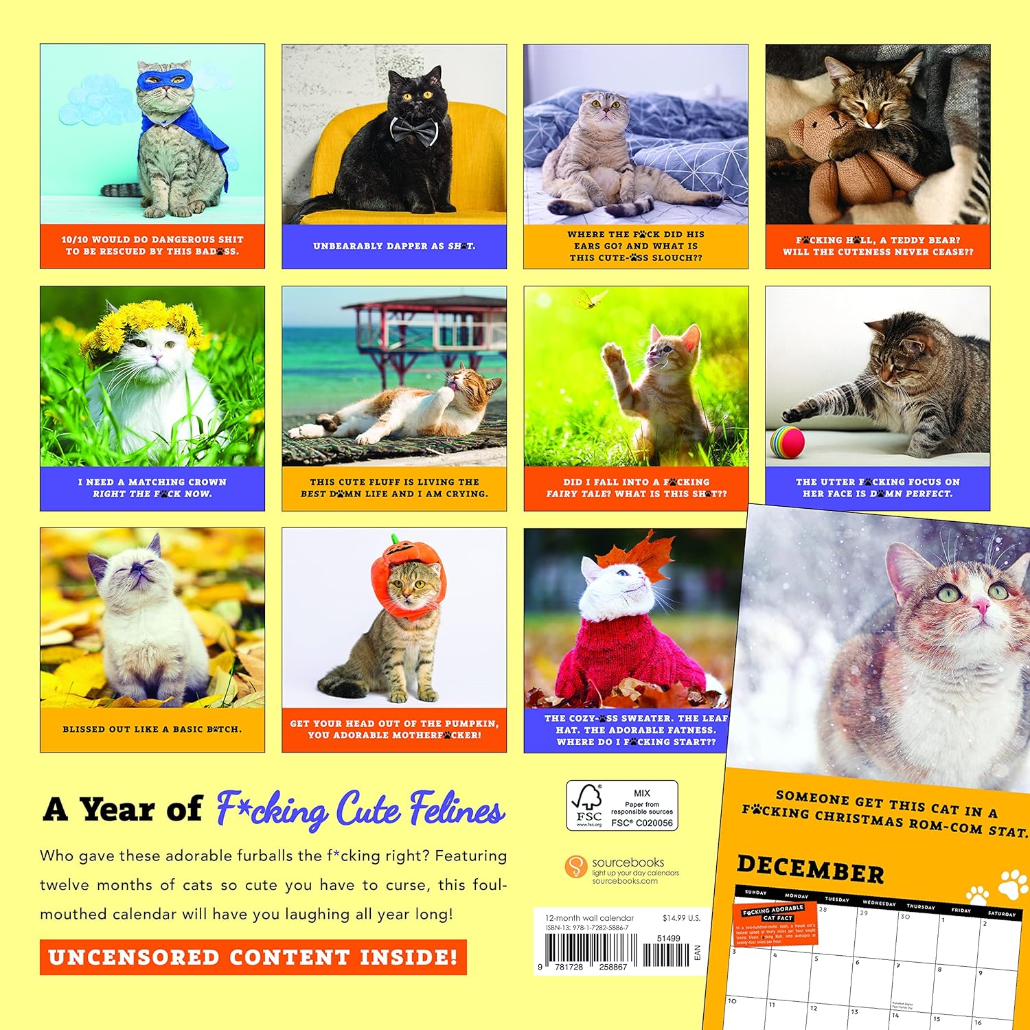 😺2024 Too Cute Cats Wall Calendar