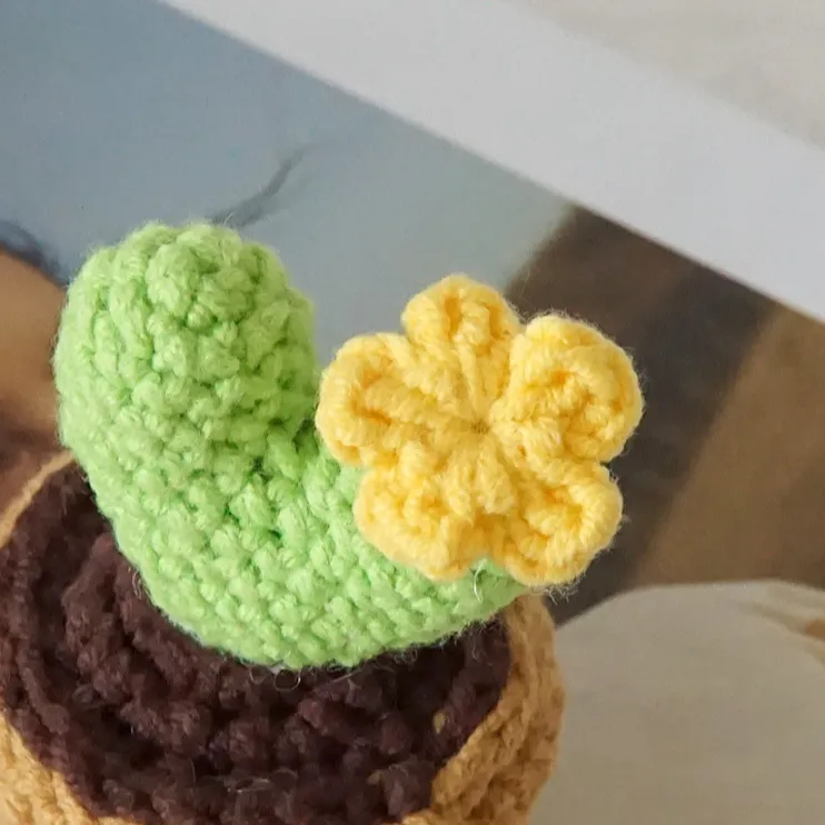 🌼Knitted Love Cactus Pot